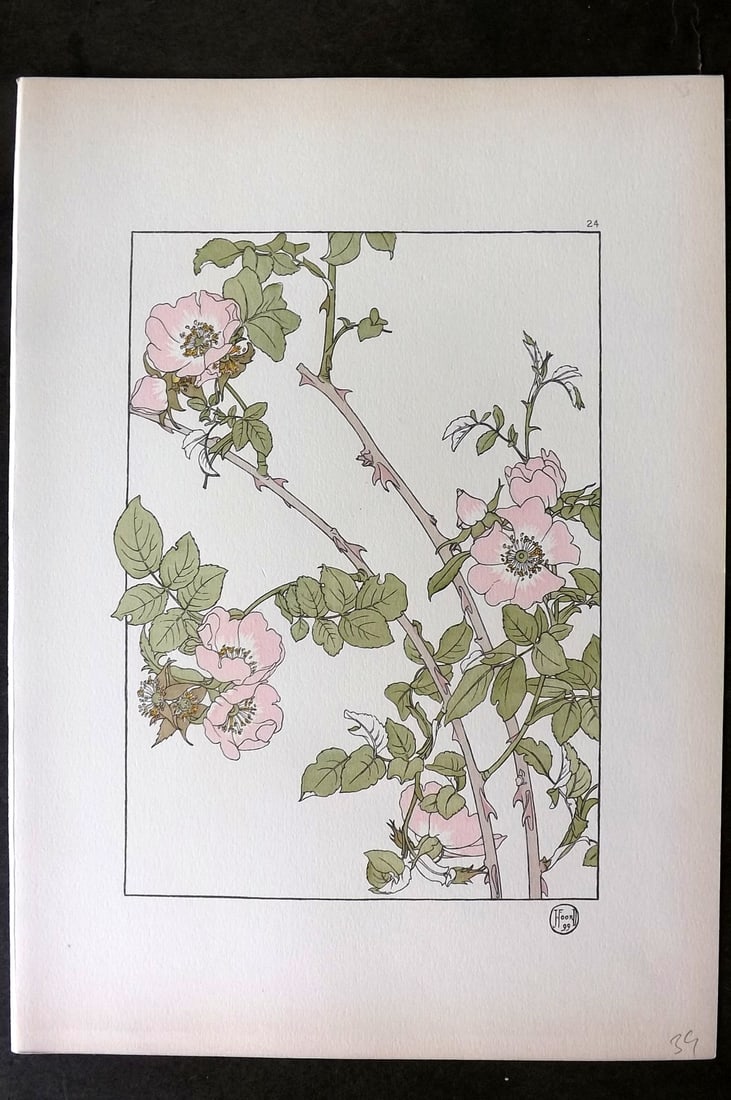 Foord, Jeannie 1901 Folio Art Nouveau Pochoir. Briar Rose 24 (1 of 1)