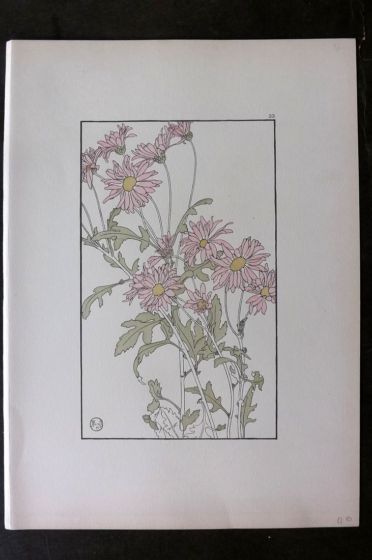 Foord, Jeannie 1901 Folio Art Nouveau Pochoir. Chrysanthemum 33 (1 of 1)