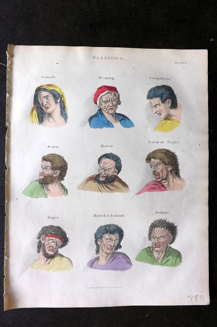 Buffon, Smellie & Huish 1862 Hand Col Print. Passions 05: Hand Colored Etching/Engraving Published 1862 by Thomas Kelly, London for "A Natural History, General and Particular..." by The Comte de Buffon and William Smellie. A New and Enlarged Edition, also co