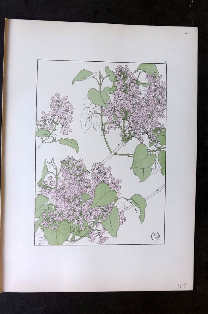 Foord, Jeannie 1901 Folio Art Nouveau Pochoir. Lilac 03 (1 of 1)