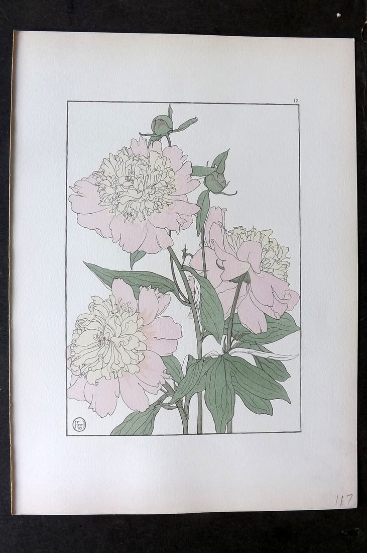 Foord, Jeannie 1901 Folio Art Nouveau Pochoir. Peony 12: Folio Pochoir Lithograph Published 1901, London for "Decorative Flower Studies" by Jeannie Foord. Scarce. With accompanying descriptive text. Paper Size: 15 x 10.5 inch (38 x 27cm) Good Condition