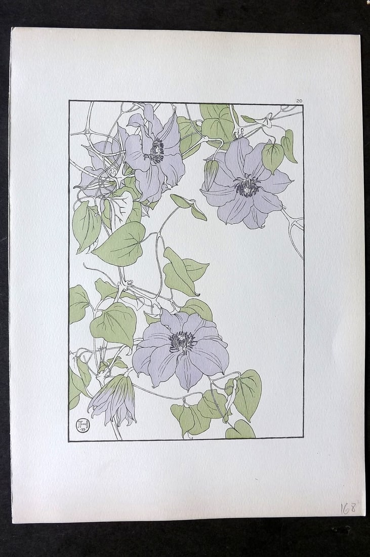 Foord, Jeannie 1901 Folio Art Nouveau Pochoir. Clematis 20 (1 of 1)