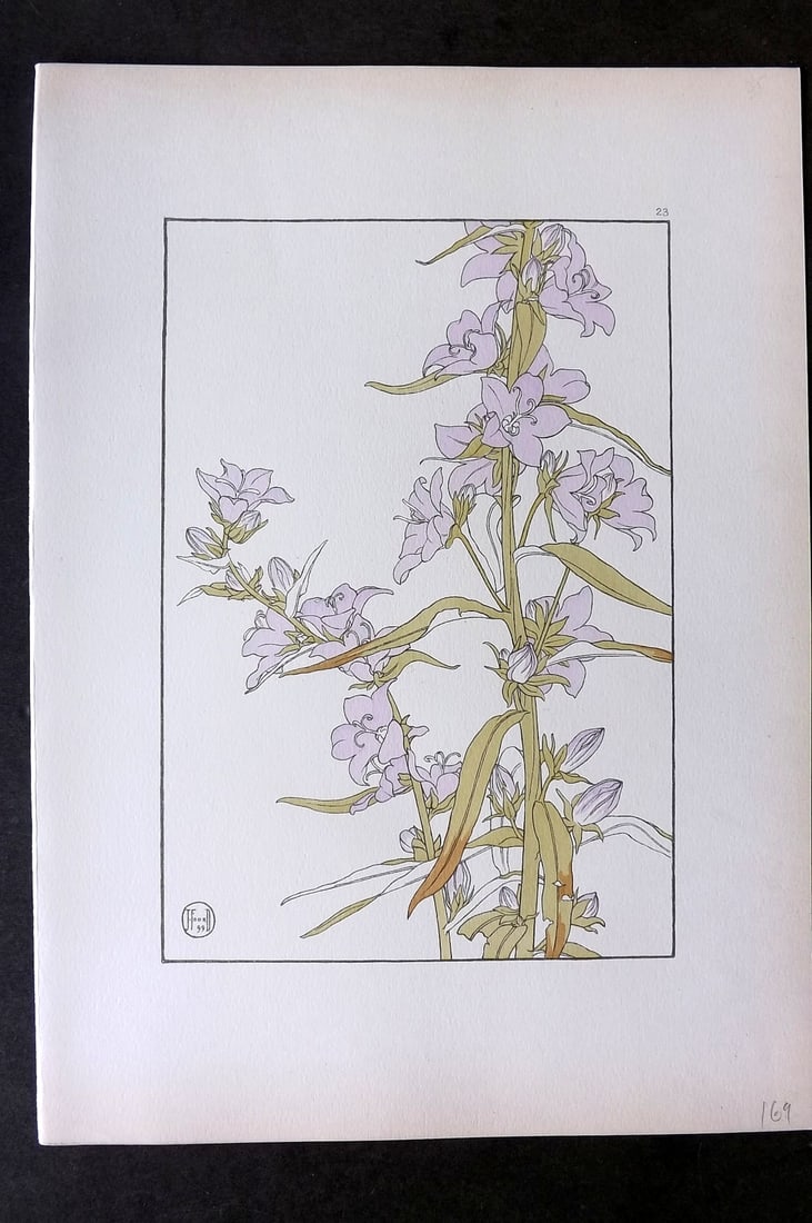 Foord, Jeannie 1901 Folio Art Nouveau Pochoir. Campanula 23 (1 of 1)