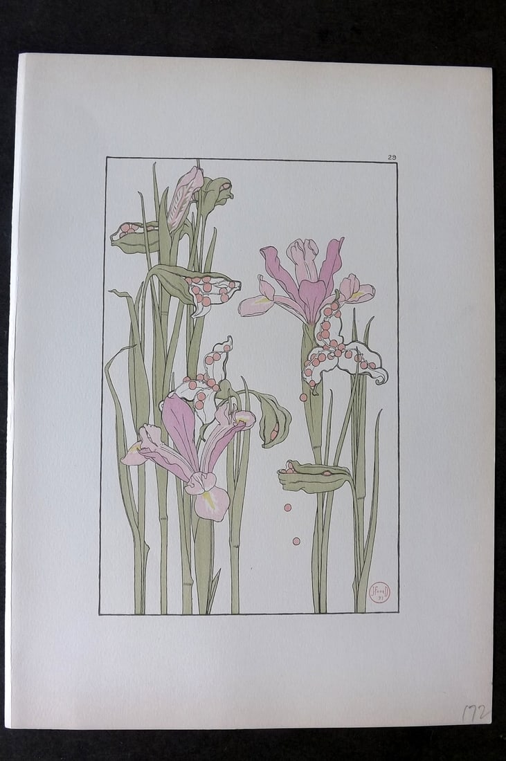 Foord, Jeannie 1901 Folio Art Nouveau Pochoir. Weed Iris 29: Folio Pochoir Lithograph Published 1901, London for "Decorative Flower Studies" by Jeannie Foord. Paper Size: 15 x 10.5 inch (38 x 27cm) Good Condition