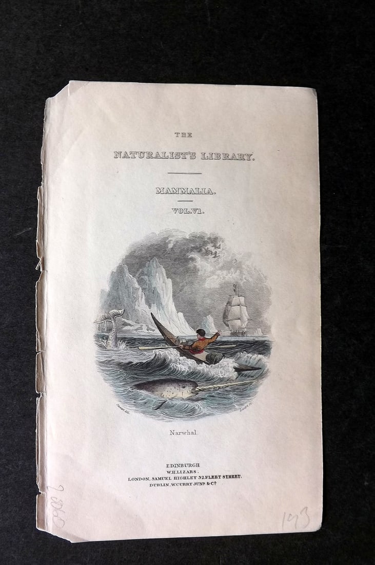 Jardine, William 1837 Hand Col Print. Narwhal. Illus. Title Page: Hand Colored Steel Engraving/Etching Published 1833-43 by W.H.Lizars, Edinburgh for "The Naturalist's Library"by Sir William Jardine. Paper Size: 6.5 x 4.25 inch (17 x 11cm) Corners slightly bumped, o