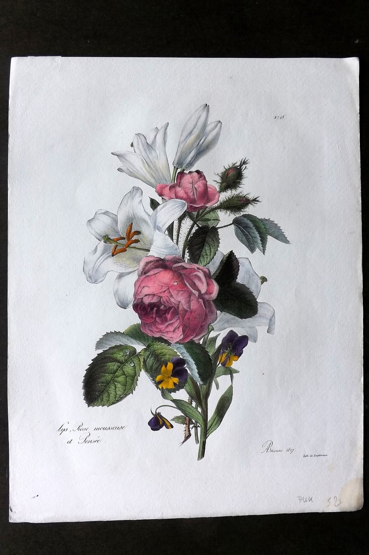 Brienne, Auguste C1830 Folio Hand Col Botanical Print. Rose mousseuse et Pensee 15 (1 of 1)