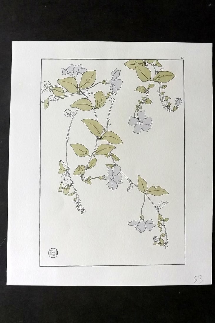 Foord, Jeannie 1901 Art Nouveau Pochoir. Periwinkle 27: Folio Pochoir Lithograph Published 1901, London for "Decorative Flower Studies" by Jeannie Foord. Scarce. Paper Size: 12 x 10 inch (31 x 25cm) Margins slightly trimmed. Good Condition