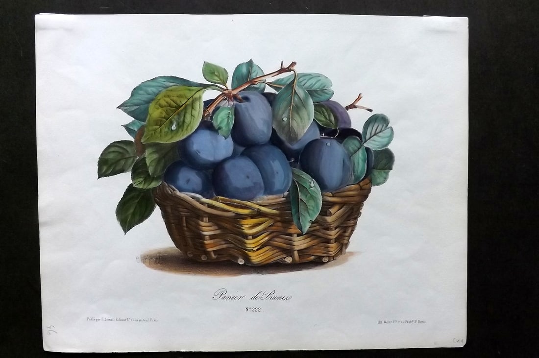 Sinnett & Walter C1860 Folio Hand Col Fruit Print. Panier de Prunes (1 of 1)