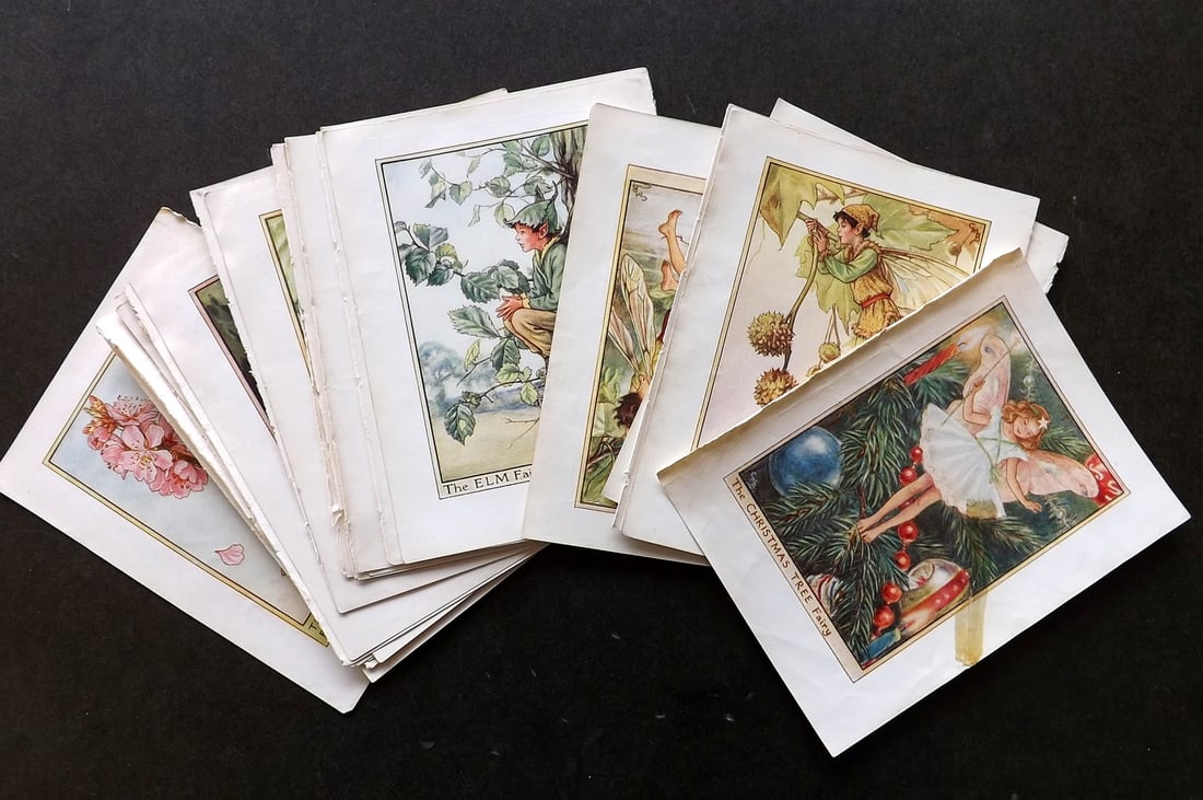 Barker, Cicely Mary C1940 Lot of 24 Flower-Fairy Prints - Tree Fairies (1 of 4)