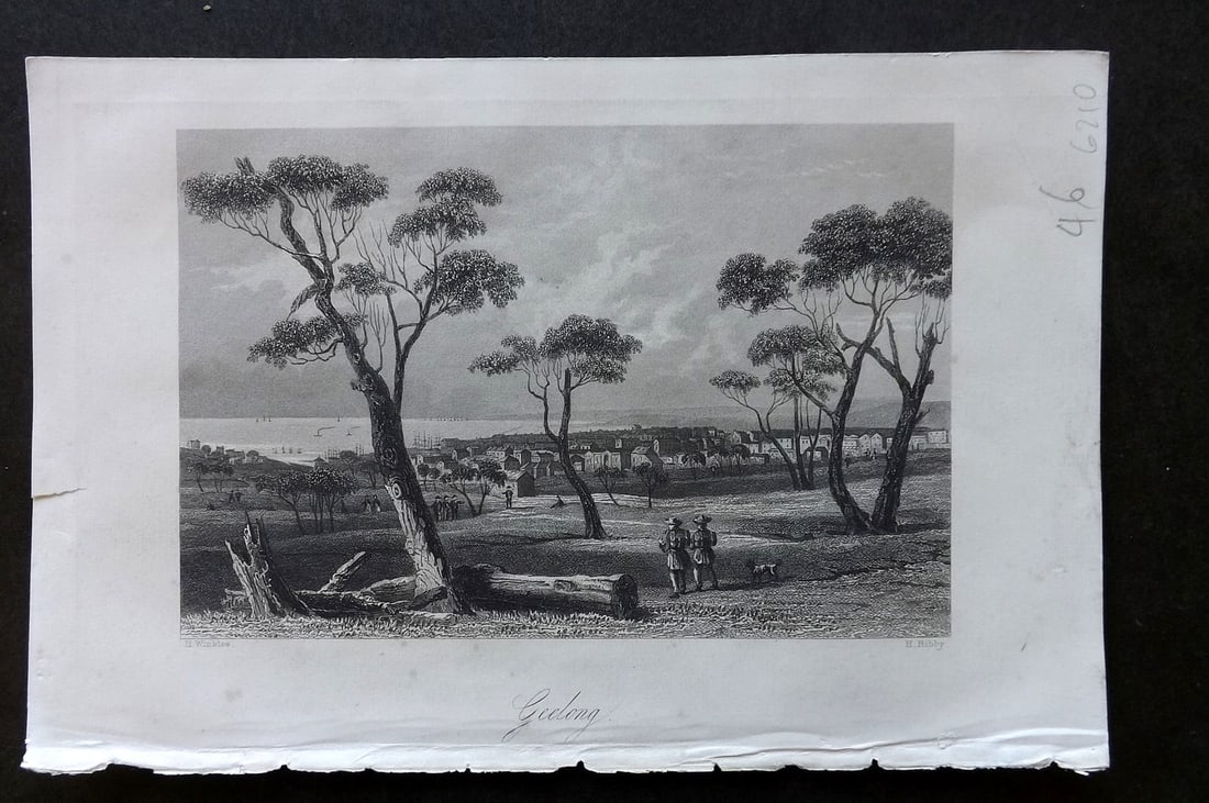 Wright, Thomas 1860 Antique Print. Geelong, Australia (1 of 1)