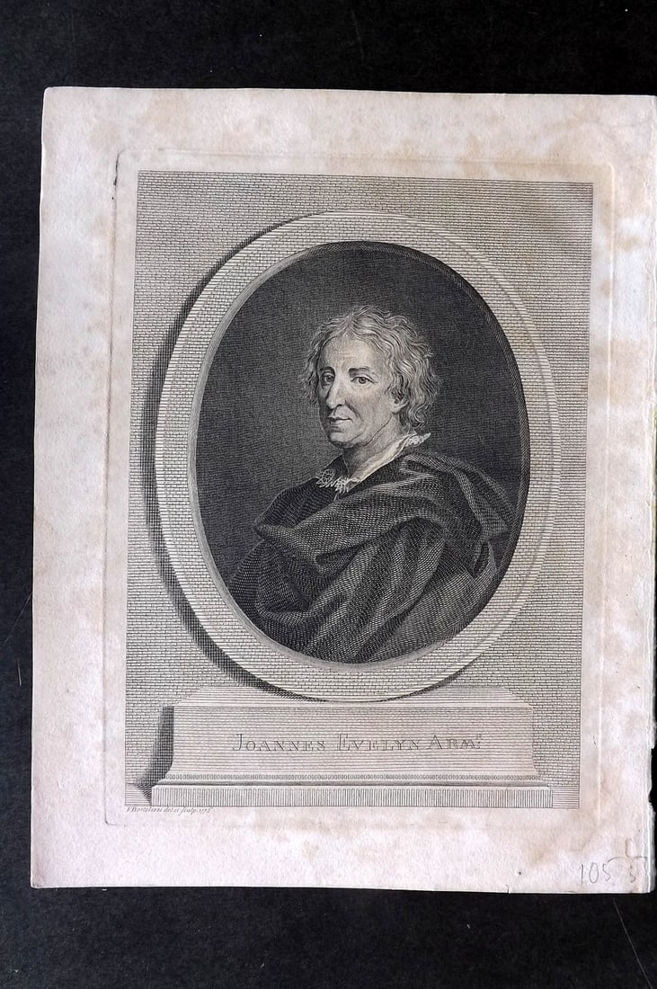 John Evelyn Forest Trees 1801 Botanical Print. Portrait by Bartolozzi: Copper Plate Published 1801, London & York for "Silva: Or, A Discourse of Forest-Trees..." by John Evelyn. Drawn & Engraved by John Miller. Paper Size: 12 x 9 inch (30 x 23cm) Very minor toning, other