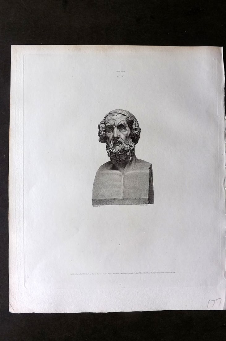 BM Marbles 1815 Folio Statue Sculpture Print. Terminal Head of Homer 25 (1 of 1)
