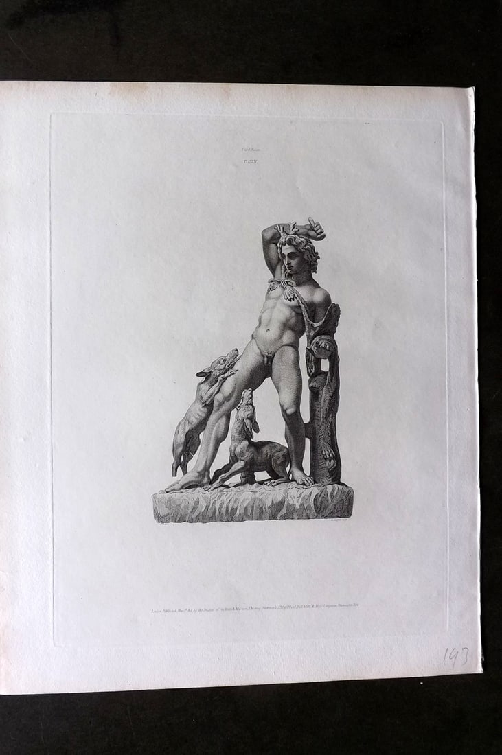 BM Marbles 1815 Folio Statue Sculpture Print. Statue of Actaeon attacked by his dogs 45 (1 of 1)