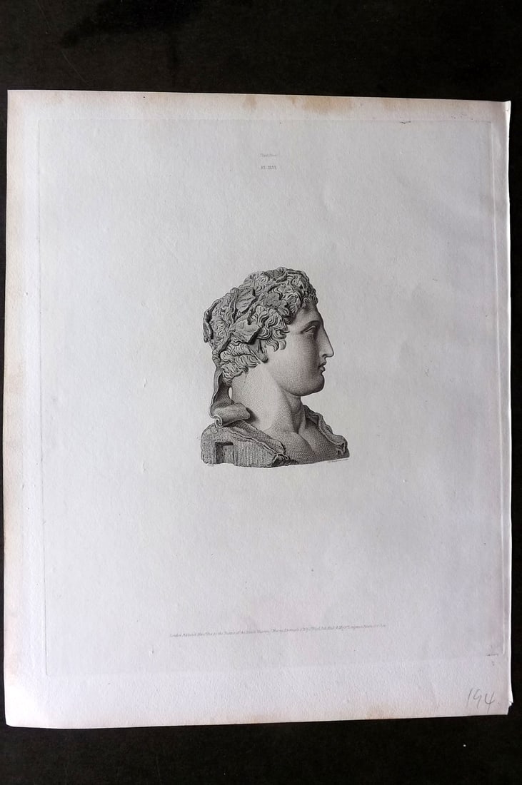 BM Marbles 1815 Folio Statue Sculpture Print. Terminal head of the young Hercules 46 (1 of 1)