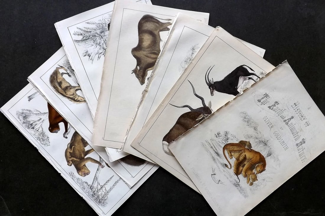 Goldsmith, Oliver 1855 Lot of 8 Hand Col Animal Prints. . (1 of 3)
