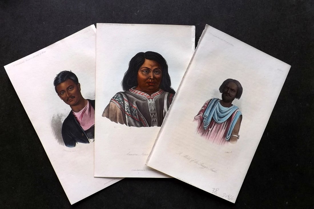 Prichard, James 1848 Lot of 3 Hand Colored Ethnic Prints. Arabs, India & Chile (1 of 3)