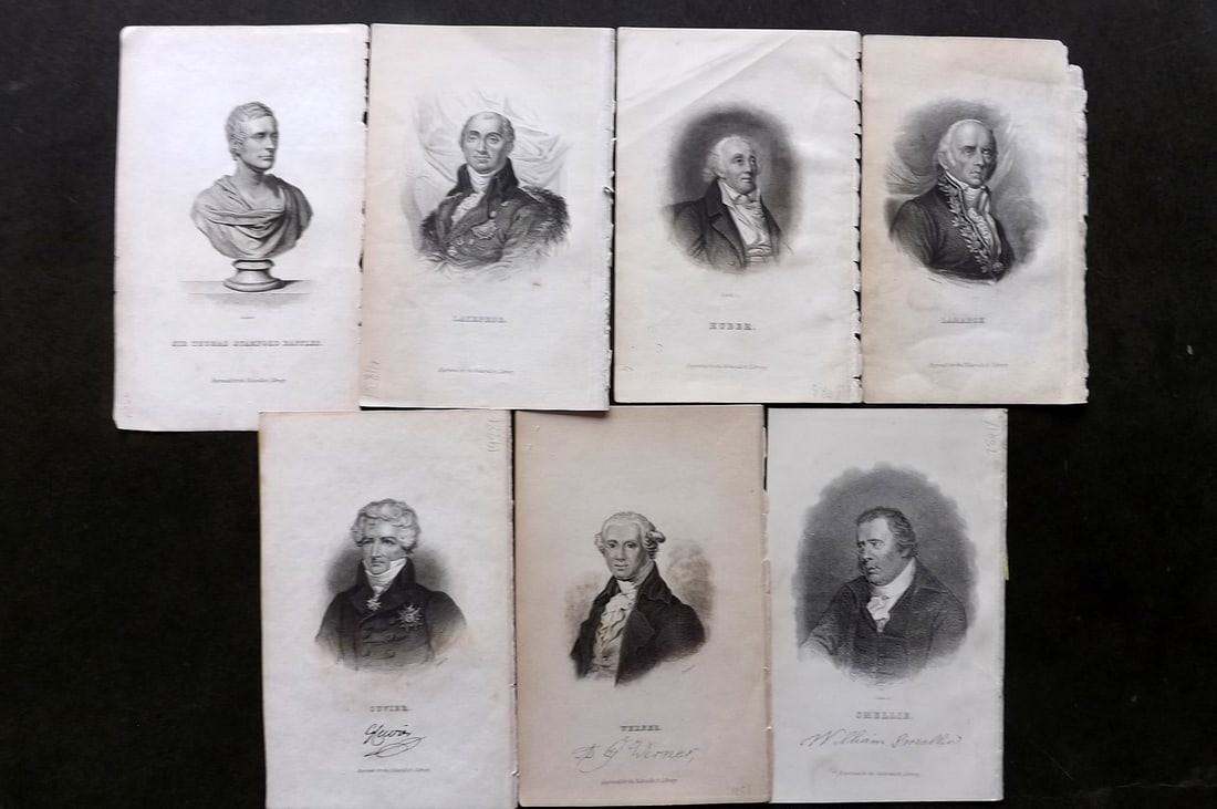 Jardine, William 1830's Lot of 7 Natural History Portraits. Naturalist's Library: Steel Engraving/Etching Published 1833-43 by W.H.Lizars, Edinburgh for "The Naturalist's Library"by Sir William Jardine. Paper Size: 6.5 x 4.25 inch (17 x 11cm) Good Condition