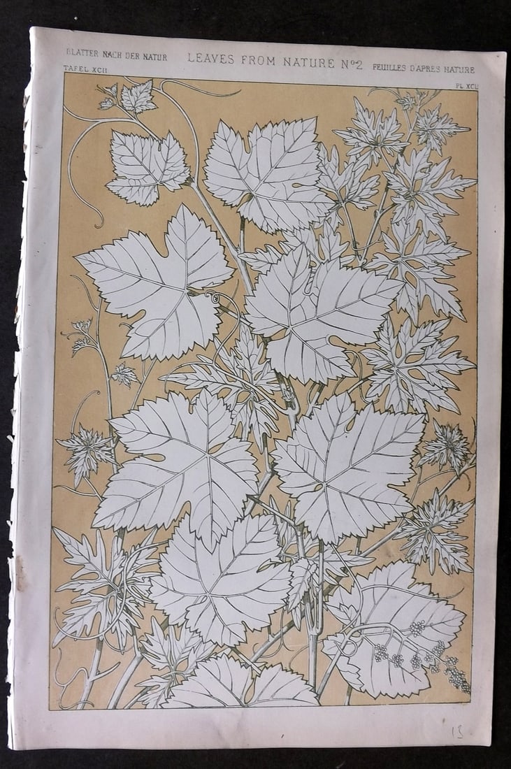 Jones, Owen 1868 Design Print. Leaves from Nature No. 2: Chromolithograph Published 1868 by Bernard Quaritch, London for "The Grammar of Ornament" by Owen Jones. Paper Size: 13 x 9 inch (33 x 23cm) Good Condition