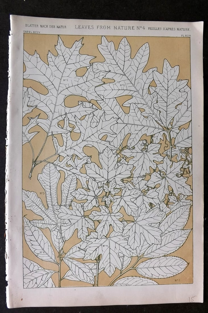 Jones, Owen 1868 Design Print. Leaves from Nature No. 4: Chromolithograph Published 1868 by Bernard Quaritch, London for "The Grammar of Ornament" by Owen Jones. Paper Size: 13 x 9 inch (33 x 23cm) Good Condition
