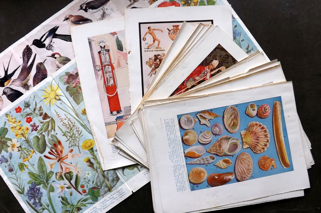 Newnes' Pictorial Knowledge C1936 Mixed Lot of 41 Prints. (1 of 7)