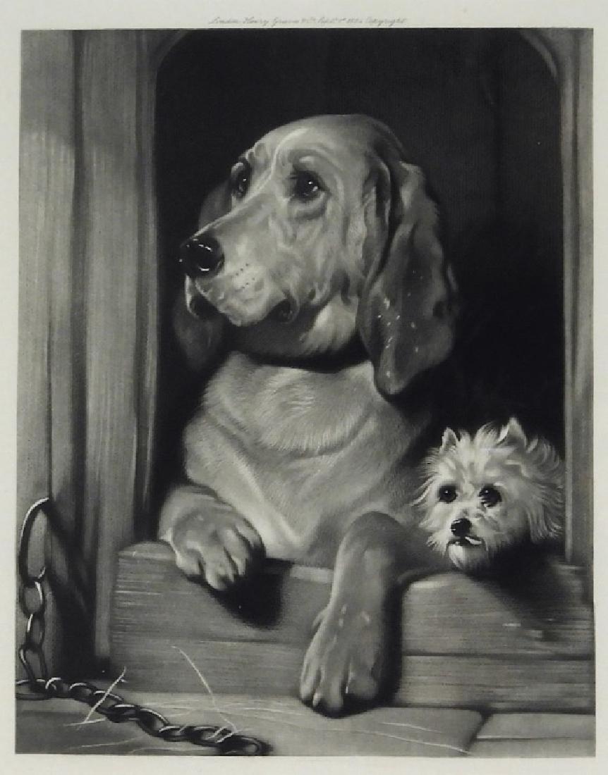 Sir Edwin Landseer Dignity Impudence Dog Etching (1 of 8)