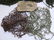 WWII U.S. Army Helmet Camouflage Nets (10) - 5