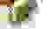 item-62777632=5