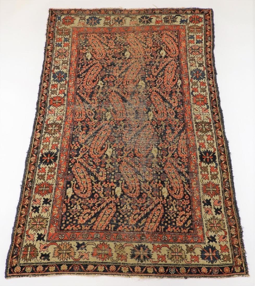 C.1900 Caucasian Oriental Malaya Carpet Rug (1 of 8)
