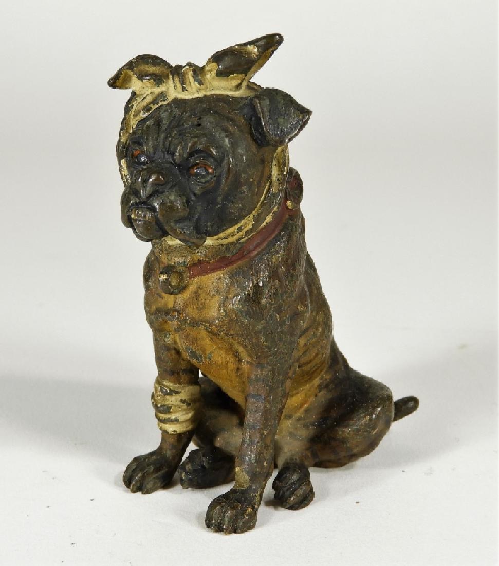 Austrian Vienna Bronze English Bulldog Figure: Austria,20th Century Finely cast English bulldog with red leather collar seated with a white bandage on his head and leg. Poor lil fella! Bronze,3 1/8" tall, From the collection of an Uxbridge, Massac