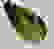item-76073264=4