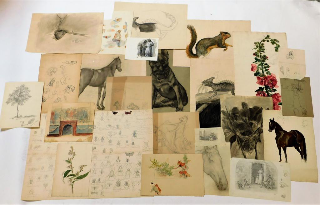 William Haskell Coffin Nature Study Drawing Group: William Henry Haskell Coffin United States,1878-1941 Taken from a portfolio of numerous works, this group contains over twenty sketches of animals including horses, squirrels, and lizards as well as b