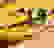 item-86178204=5