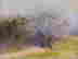 item-127923643=2