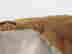 item-131800211=8