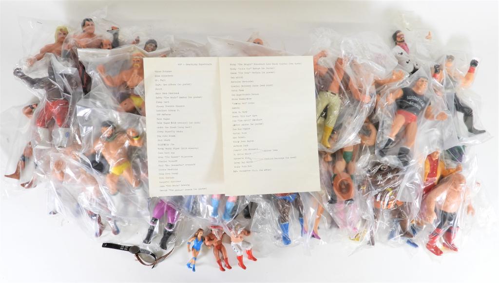 Andy's LJN WWF Wrestling Superstars Figure Archive (1 of 12)