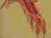 item-137338354=7