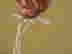 item-137338354=9