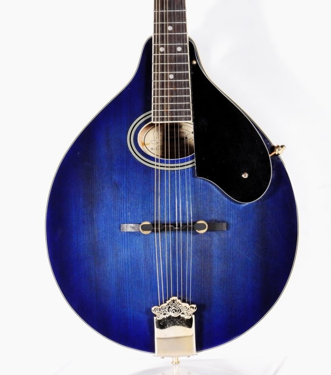 George Washburn ISDL/TBL Blue Mandolin (1 of 12)