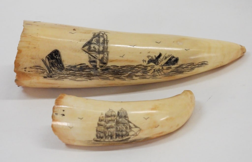 2PC Whaling Ships Scrimshaw Whale Teeth: United States Late 19-Early 20th Century Includes a whale tooth depicting a whaling scene and one depicting a whaling ship. Smallest weight as sits 28g, largest weight as sits 107g. Tooth,Smallest 7/8