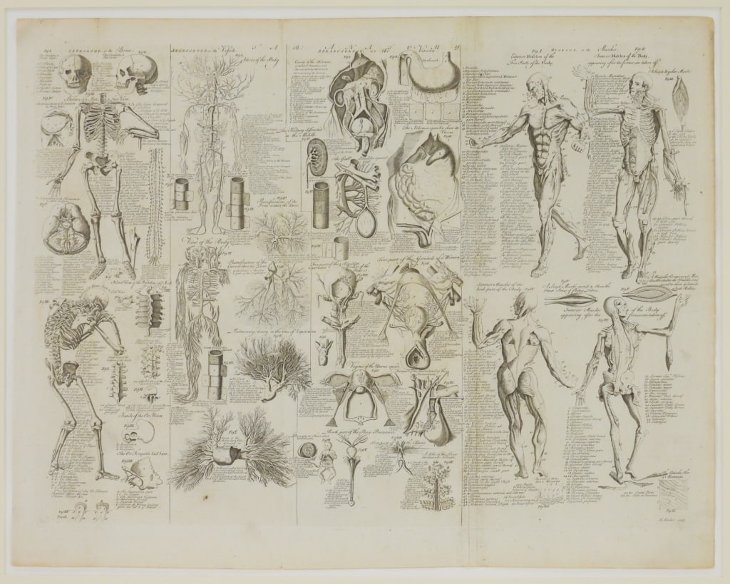 Edward Rooker Anatomical Etching (1 of 9)