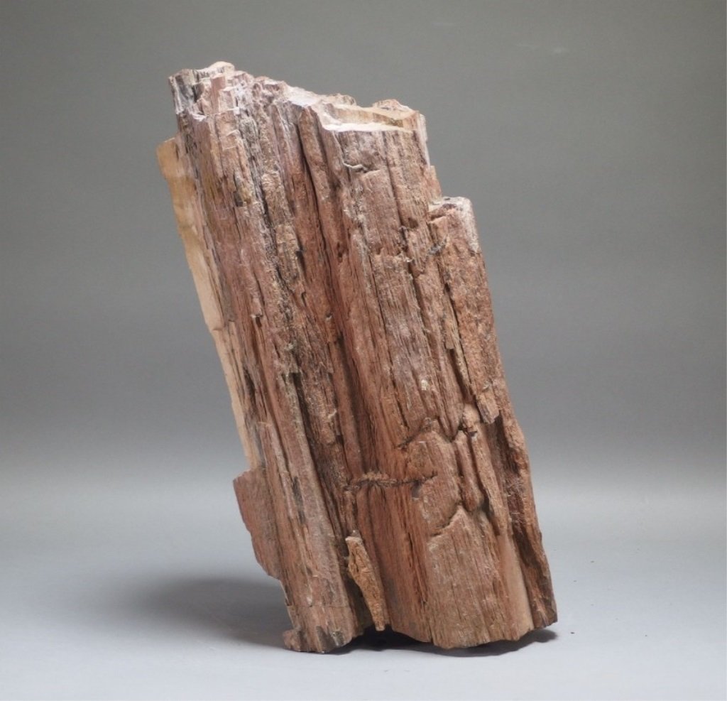 Large Prehistoric Petrified Wood Sculpture (1 of 7)