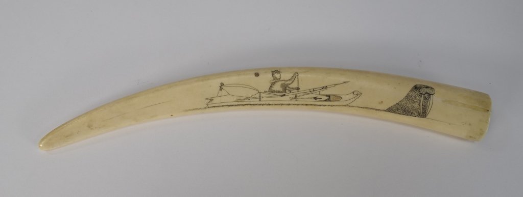 Early 20C. Inuit Eskimo Walrus Tusk Cribbage Board: Early 20C. Inuit Eskimo Walrus Tusk Cribbage Board"ALASKA, EARLY 20TH CENTURY An Inuit Eskimo carved walrus tusk cribbage board. The game field is decorated with a scaled down tusk carved as the field