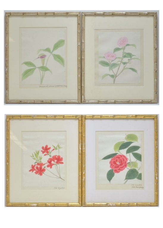 Four Floral Botanical Watercolor Paintings (1 of 10)