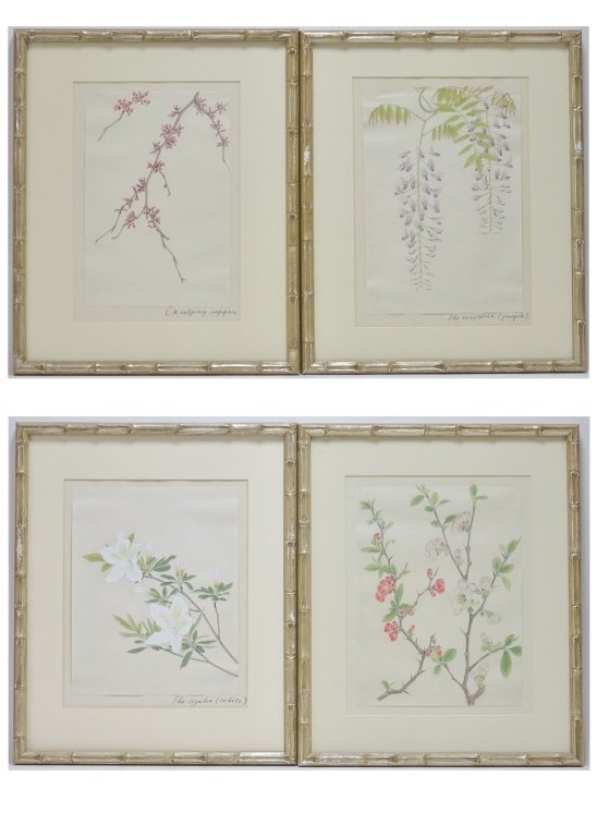 Four Floral Botanical W/C Study Paintings (1 of 10)