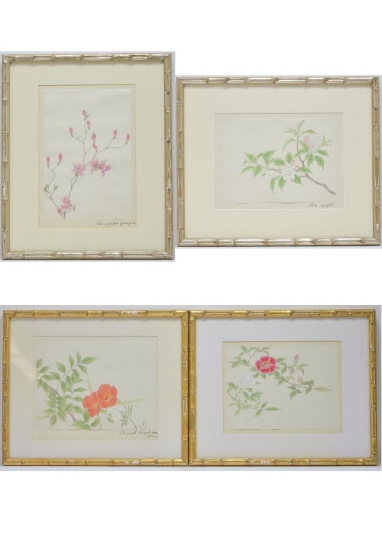 Four Watercolor Paintings Depicting Botanicals (1 of 9)