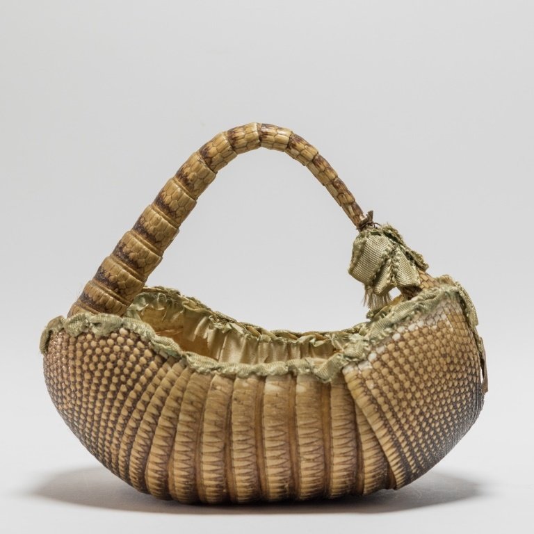 Vintage Armadillo Taxidermy Basket Bowl (1 of 6)