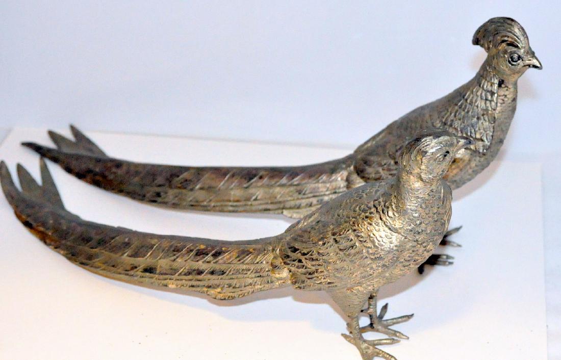 Pair pheasants Weidlich Bros. (1 of 6)