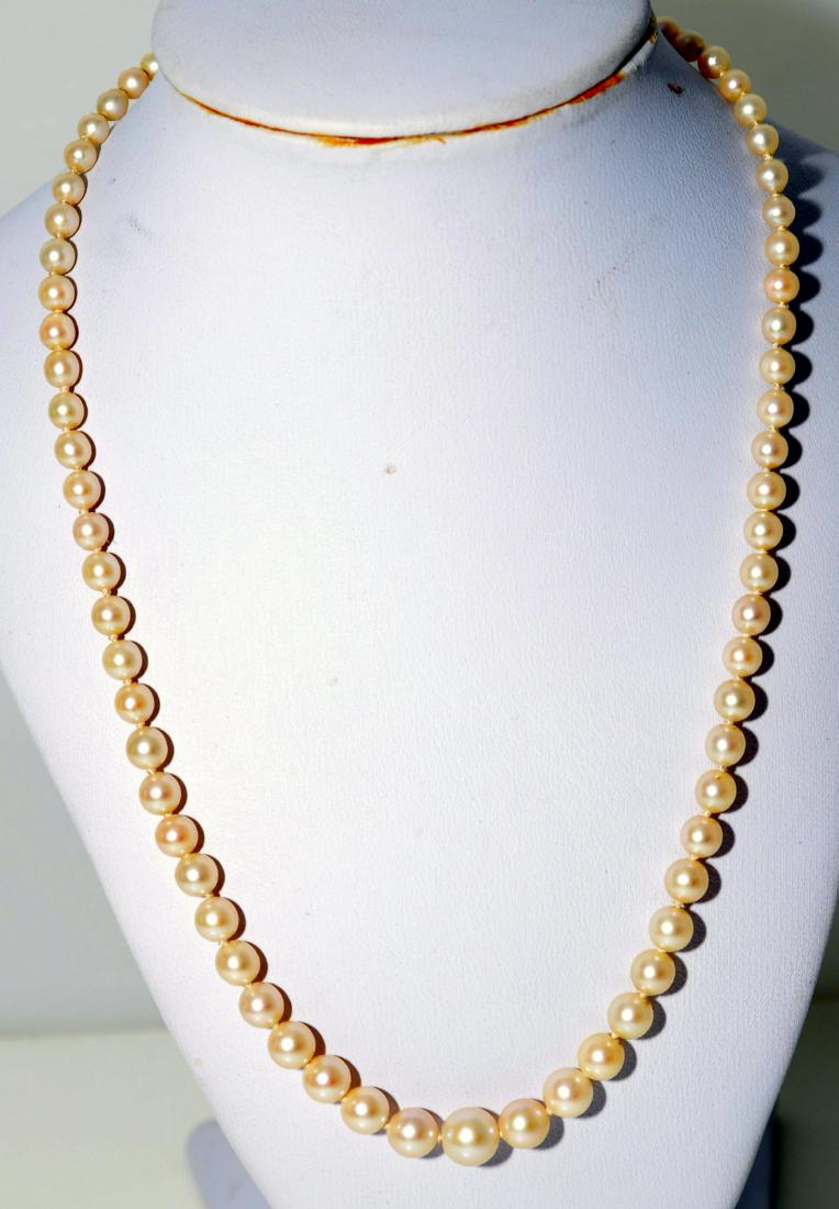 Pearl graduated necklace 14k clasp: Vintage pearl choker- graduated pearls with 14k vintage clasp - natural - largest pearl about 6 mm and about 15 inches long total