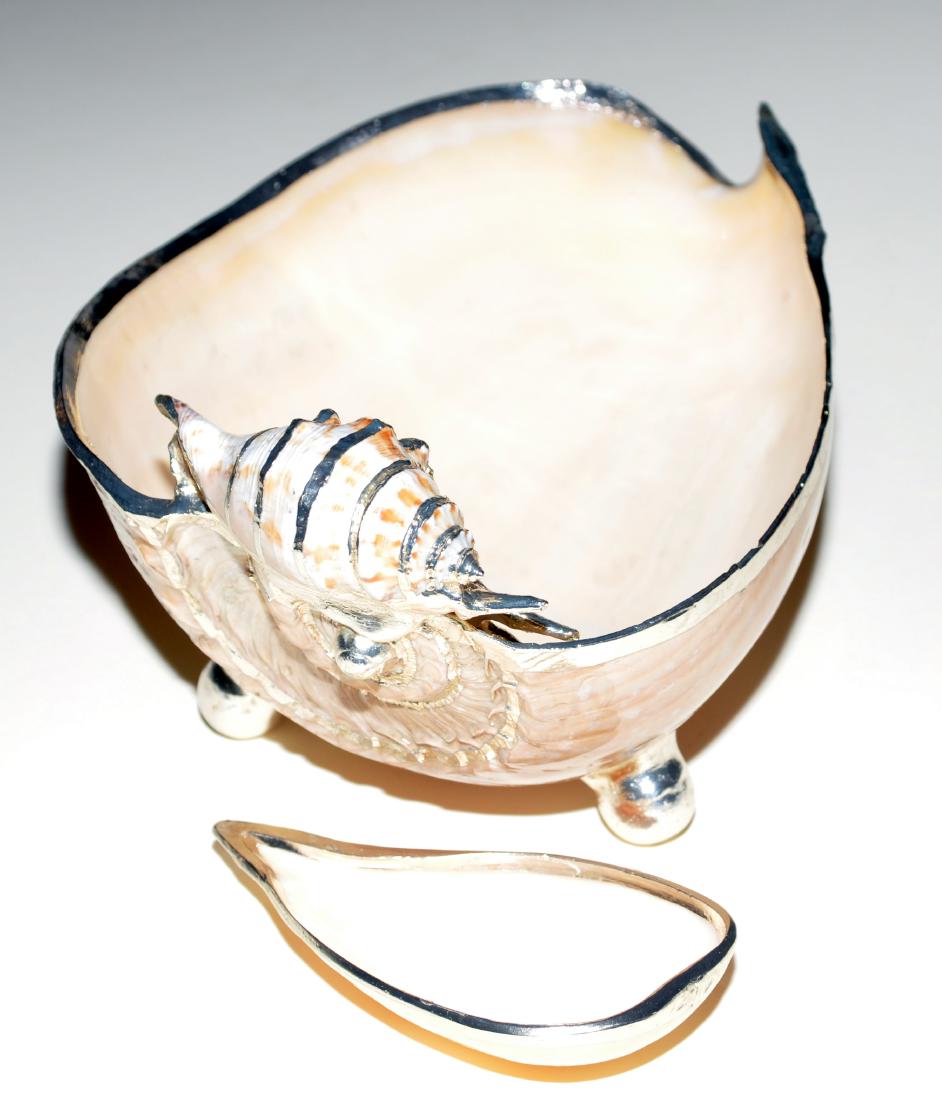 Shell bowl gold trimmed and footed: Beautiful natural melon shell bowl footed and designed into serving bowl with small shell dipping dish -great condition and about 5 inches high and 10 inches long