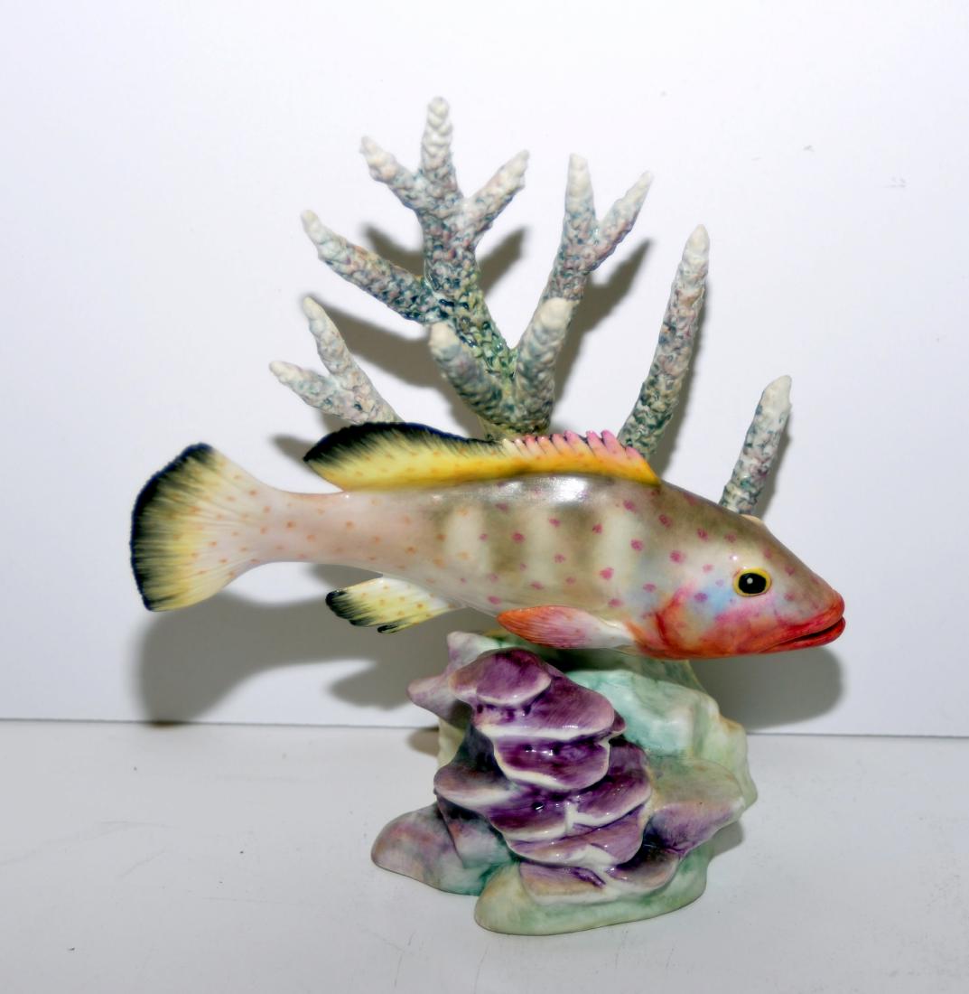 Fish Royal Worcester statue Redhind: Made in England Royal Worcester fish statue - colorful fish swimming in seaweed- about 6 x 5 inches marked 3572 in beautiful condition